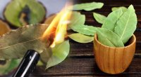 Aprelin bu günlərində dəfnə yarpağı yandırın: Həyatınız görün necə dəyişəcək