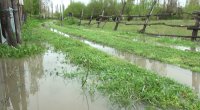 İntensiv yağışlar Balakəndə kəndlilərin təsərrüfatına ciddi ziyan vurub - FOTO