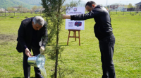 Zaqatalada ağacəkmə aksiyası - FOTO