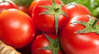 Dadsız, rəngsiz POMİDORLAR - Süfrəmizə keyfiyyətsiz məhsulu kim gətirir? &ndash; ARAŞDIRMA