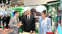 İlham Əliyev və xanımı Mehriban Əliyeva sərgini belə gəzdilər - VİDEO
