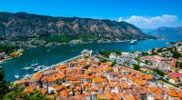 Monteneqroya gedən vətəndaşımızı məcburi İŞLƏDİBLƏR