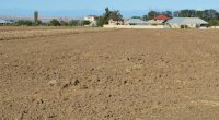 Torpaq icarəsində YENİ MEXANİZM: Sahə böyüdükcə qiymət düşəcək