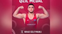 Daha bir güləşçimiz Avropa çempionu oldu