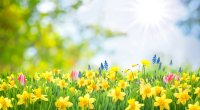 Sabah hava necə olacaq? &ndash; PROQNOZ