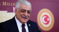 Şamil Ayrım: 28 May həm də Türk dünyasının birlik simvoludur - FOTO