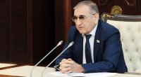 Komitə sədri: “Cərimə olmasa, insanlar bütün yaşıllıqları məhv edərlər”