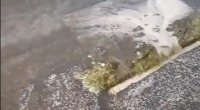 Zaqatalaya leysan yağdı, bəzi ərazilərə dolu düşdü - FOTO-VİDEO