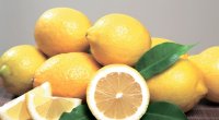 &ldquo;Lənkəran limonu&rdquo; adı ilə satılır... &ndash; Bəs əslində hansı ölkələrdən GƏTİRİLİR? &ndash; ARAŞDIRMA