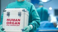 Baş nazirdən sümük iliyi transplantasiyası ilə bağlı QƏRAR