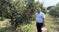 Yeddi il əvvəl əkməyə başladı - İndi hər ağacdan 300 kq məhsul götürür &ndash; FOTO