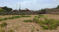 Bakıda torpaq bazarında yeni qiymətlər: 500 minə qədər...
