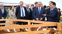 Xocalıda heyvandarlıq kompleksi ilə tanışlıq - FOTO