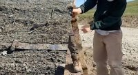 Məktəbli təsadüfən Vikinqlər dövrünə aid 1300 illik qılınc tapdı &ndash; FOTO