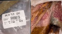 "Qayalı" marketdə biabırçılıq: Xarab məhsulu zibil qutusuna atıb, məsuliyyətdən qaçmaq istədilər! - VİDEO