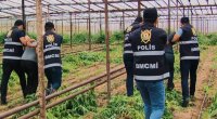 Beş ayda 111,7 milyon manatlıq narkotik dövriyyədən çıxarılıb