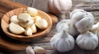 Gündə bir sarımsaq udulsa, orqanizmdə nə baş verər?