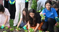 Leyla Əliyeva və Arzu Əliyeva Bakı Bulvarında mövsümi güllərin əkilməsi aksiyasında &ndash; FOTO