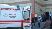 Şəkidə itin 5 nəfəri dişləməsinə İcra Hakimiyyətinin REAKSİYASI - FOTO