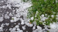 Laçına dolu düşdü &ndash; Faktiki hava