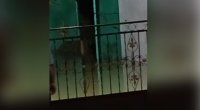 Ağstafada sel suları evlərə doldu &ndash; VİDEO