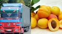 Ermənistandan İspaniyaya göndərilən əriklər yolda xarab oldu