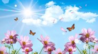 Sabah 39 dərəcə isti olacaq &ndash; PROQNOZ