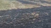 Oğuzda yanğın törədən şəxs məsuliyyətə cəlb olundu &ndash; FOTO