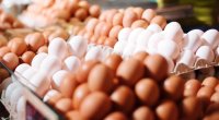 Yumurta UCUZLAŞACAQ &ndash; 1 qəpiyə SATILACAQ?