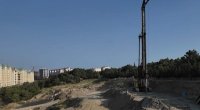 Şərurlu İsfəndiyarın şirkəti Sumqayıtda kütləvi ağac kəsimi QALMAQALINDA &ndash; VİDEO