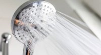 Duş başlığını ərpdən necə təmizləmək olar?