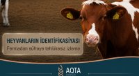 Heyvanların identifikasiyası: Fermadan süfrəyə təhlükəsiz izləmə