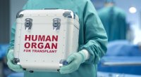 1400-dən çox xəstə GÖZLƏYİR - Azərbaycanda donor niyə tapılmır?