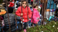 Seutada miqrant uşaqlar üçün sığınacaqlar yaradılır