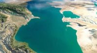 Xəzər dənizindəunikal TAPINTI: suyu təbii təmizləyir - FOTO