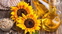 Zərəri vitaminindən çoxdur &ndash; Soyuq sıxım günəbaxan yağlarındakı GİZLİ TƏHLÜKƏ