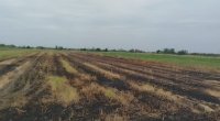 Bölgələrdə yanğına səbəb olan 3 nəfər SAXLANILDI &ndash; FOTO