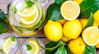 Qida mifləri: Limonlu su yağ yandırır? &ndash; VİDEO