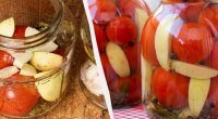 Pomidorları qışa belə hazırlamaq olar: Sirkə əvəzinə alma ilə qədim resept