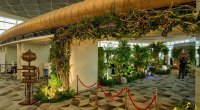 Bakı aeroportunda sərnişinlər üçün maraqlı əyləncə ZONASI &ndash; &ldquo;Tilsimli meşə&rdquo; - FOTO