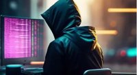Hakerlər Berlin Senatının məxfi fayllarını internetə sızdırdılar