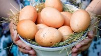 Qusarda kənd yumurtası yenə BAHALAŞDI&ndash; FOTO
