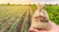Aqrar sahədə YENİLİK &ndash; Məhsul şəhadətnaməsi tətbiq olunacaq &ndash; DETALLAR