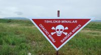 Azad edilmiş ərazilərdə daha 269 mina aşkarlandı