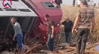 Sürücü yuxulayıb maşını aşırdı - Heyvanlar tələf oldu