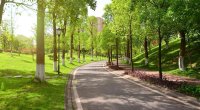 Bakıda yeni park salınır - 35 MİLYON MANAT AYRILDI