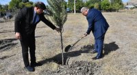 Ağsuda Anım Günündə ağacəkmə aksiyası keçirildi - FOTO