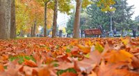Oktyabrda hava necə olacaq? &ndash; AYLIQ PROQNOZ