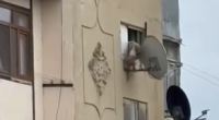 İti pəncərədən atan şəxs polis tərəfindən saxlanıldı - VİDEO