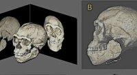 315 min il əvvəl insanlar belə görünürdü: Üzləri bərpa edildi - FOTO